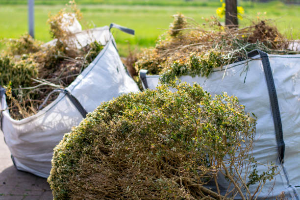 Best Junk Removal Near Me  in Santa Claus, IN
